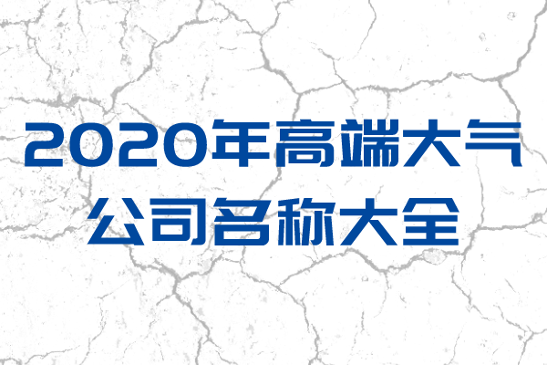 2020年高端大气公司名称大全