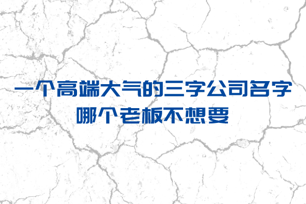 一个高端大气的三字公司名字，哪个老板不想要