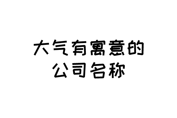 大气有寓意的公司名称
