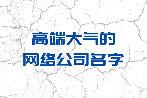 竟然有这么好的高端大气的网络公司名字！
