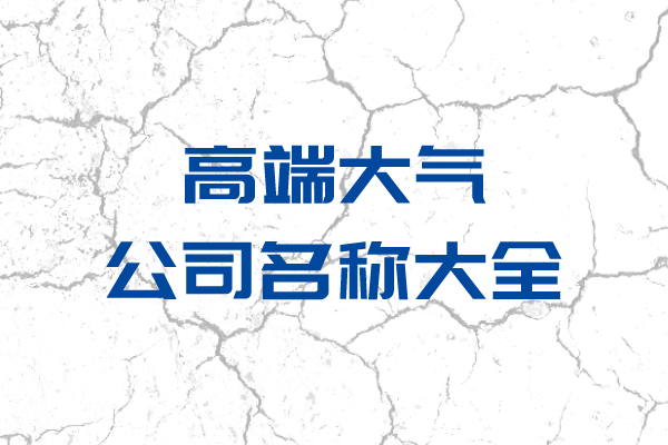 高端大气的公司名称大全